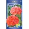 Пеларгония зональная Колорама салмон ред (Акварель)