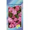 Бальзамин уоллера Беленс роуз пикоти (Акварель)