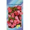 Бальзамин уоллера Беленс салмон пикоти (Акварель)