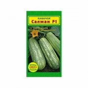 Кабачок Салман F1 (5 сем.)