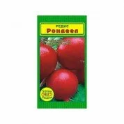 Редис Рондеел (1 гр.)
