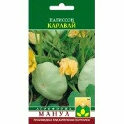 Патиссон Каравай (Манул)