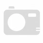 Веста 555 порошок от муравьев 30 г