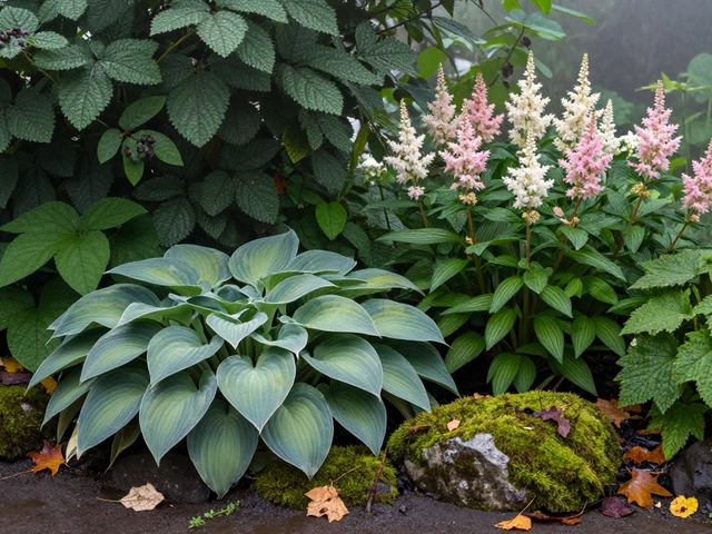 Какие цветы могут расти без солнечного света: теневыносливые растения для тенистых участков