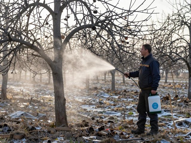Чем обработать сад весной до распускания почек: лучшие средства и когда начинать
