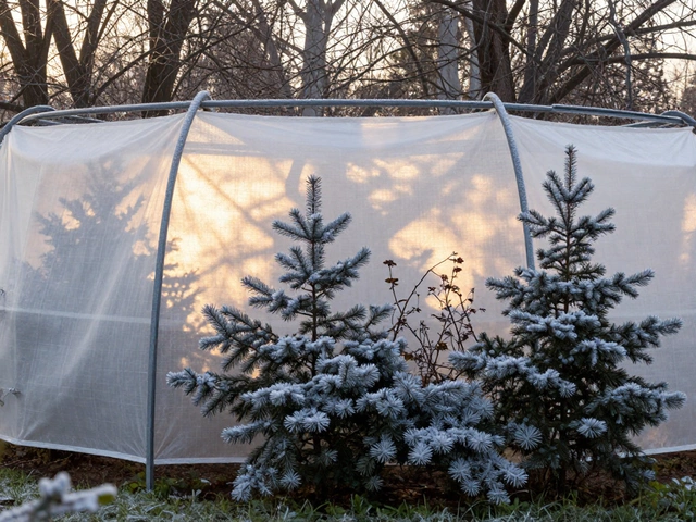 Какой самый лучший укрывной материал для растений на зиму?