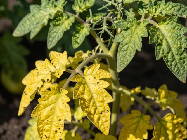 Как насытить почву азотом: лучшие способы подкормки для быстрого роста